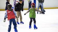 Skating School