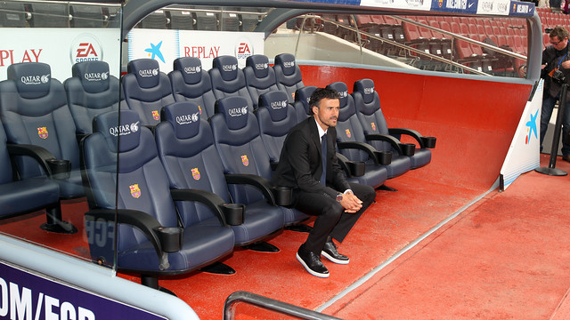 Luis Enrique on the manager's seat